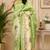 Women light green chanderi cotton tribal folk art ready to wear saree