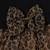 Black leopard print bow detail party wear frock dress for girls