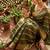 Mehndi Green Color zari chekcs weaving  Work Viscose Saree