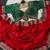 Red Color Embroidery theard Work Satin Saree