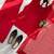red embroidered kurta set with salwar & organza dupatta