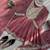 pink dhoti style suit with dupatta