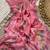 Pink Color printed with khatli work  orgrnza Saree