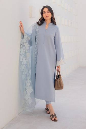 Women's powder blue straight kurta with cutwork organza dupatta