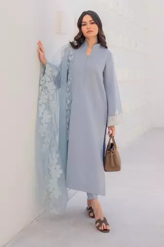 Women's powder blue straight kurta with cutwork organza dupatta