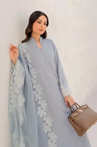 Women's powder blue straight kurta with cutwork organza dupatta