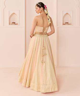 Carnation Pink Embroidered Chanderi Silk Lehenga Set 4