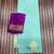sea green concept satin effect border dola silk saree