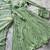 Olive georgette plain gown set
