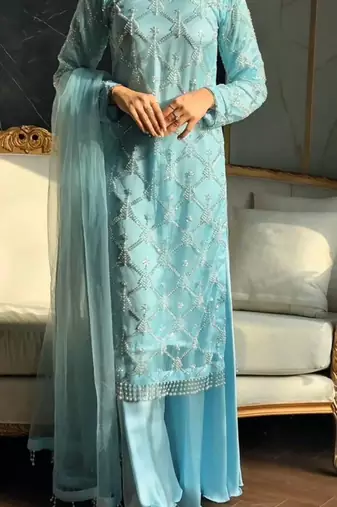 Sky blue net embroidered palazzo set
