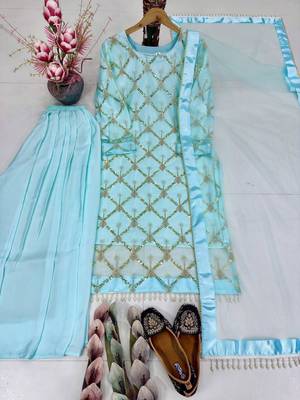 Sky blue net embroidered palazzo set 4