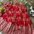 Red banarasi silk kids lehenga choli set with zari jacquard work for girls