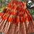 Orange banarasi silk kids lehenga choli set with zari jacquard work for girls