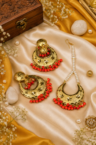 Traditional punjabi tikka set