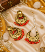 Traditional punjabi tikka set