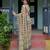 light yellow  ready to wear saree with  blouse