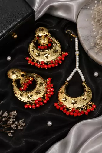 Traditional punjabi tikka set