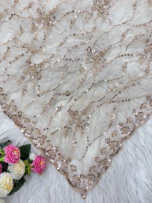 Cream Color Handwork And Sequence Work Net Saree 2