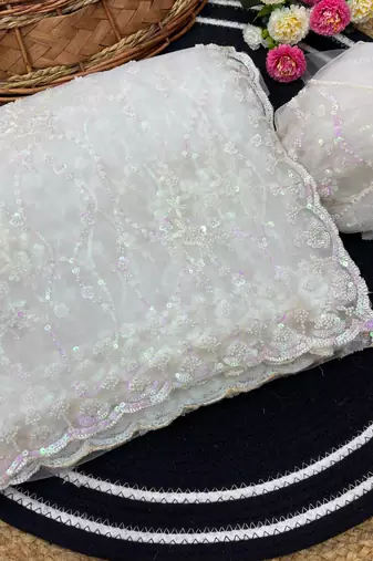 White Color Handwork And Sequence Work Net Saree
