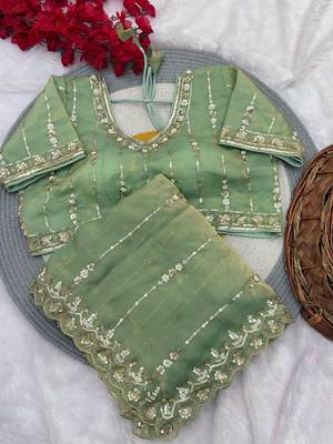 Light Green Color HandWork And Sequence Work Satin Saree 3