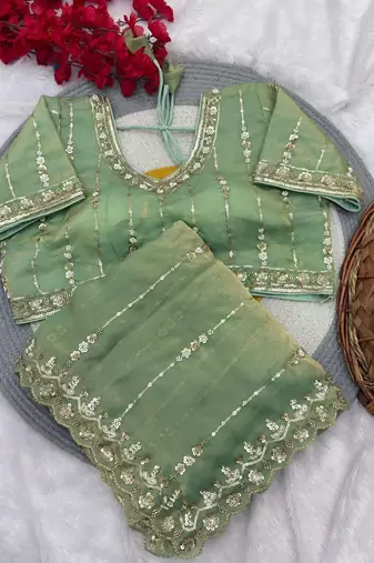 Light Green Color HandWork And Sequence Work Satin Saree