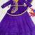 Purple Color Embrodery Zari And Sequence Work Georgette Saree
