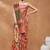 Orange silk blend floral printed girlie rich looks fancy saree