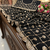 Black Color Beads And Sequence Work Net Saree