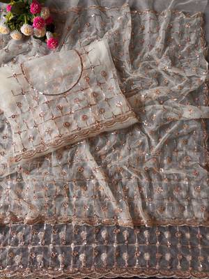 Light Cream Color Beads And Sequence Work Net Saree 2