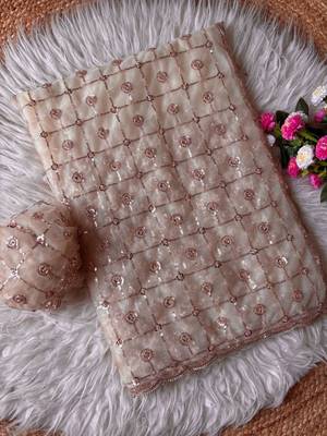 Light Cream Color Beads And Sequence Work Net Saree 3