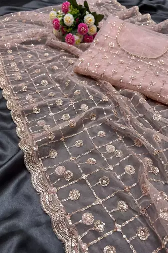 Light Pink Color Beads And Sequence Work Net Saree