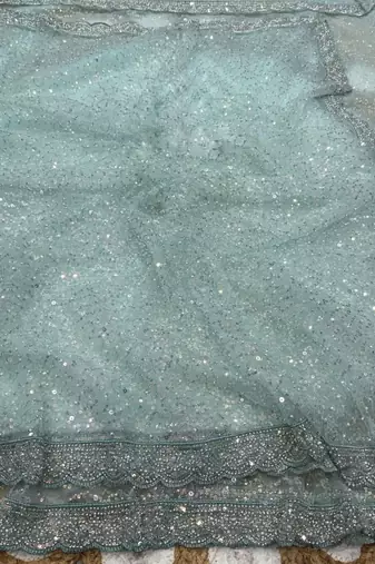 Sky Blue Color Beads And Thred  Work Net Saree