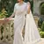 White Color Beads And Thred  Work Net Saree