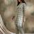 Green cotton stitched top with stitched cotton bottom and - dupatta 3/4 sleeve printed straight top