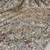 Cream color luxury dual sequin work saree with mulberry silk blouse