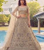 Shiny Beige Embroidered Net Reception Wear Lehenga Choli With Dupatta