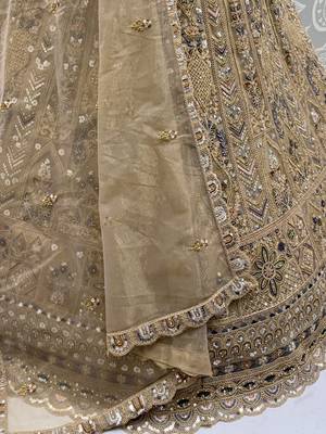 Shiny Beige Embroidered Net Reception Wear Lehenga Choli With Dupatta 7