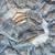 Grey Color embroidery beats work Silk Blend Saree