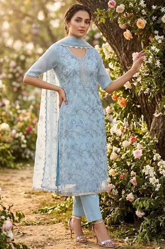 sky blue organza handwork salwar suit with organza dupatta