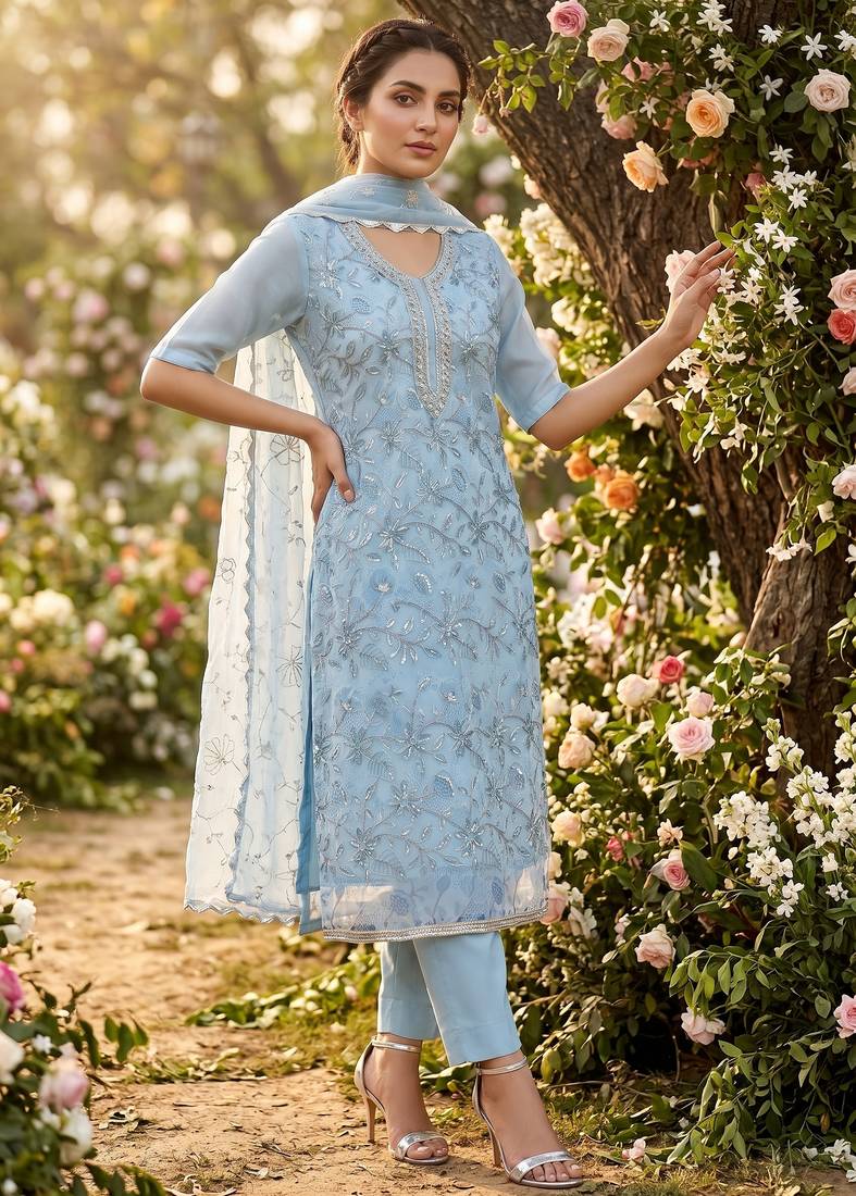 sky blue organza handwork salwar suit with organza dupatta