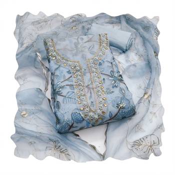 sky blue organza handwork salwar suit with organza dupatta 3