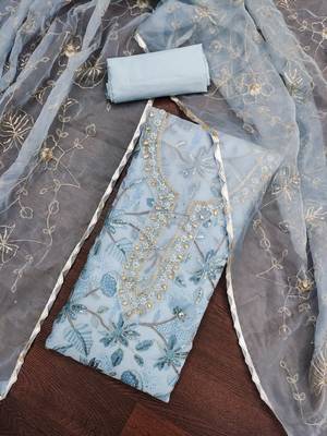sky blue organza handwork salwar suit with organza dupatta 4