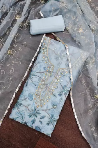 sky blue organza handwork salwar suit with organza dupatta