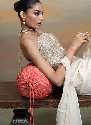Beige ivory embroidered net co ord set 4