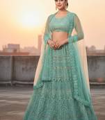 Light Green Net Embroidered Lehenga With Choli And Net Dupatta