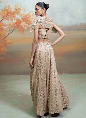 champagne gold embroidered raw silk lehenga cape set 2