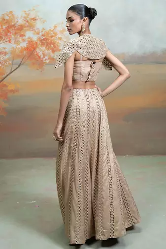 champagne gold embroidered raw silk lehenga cape set