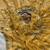 Yellow Color embroidery sequence Work Silk Blend Saree