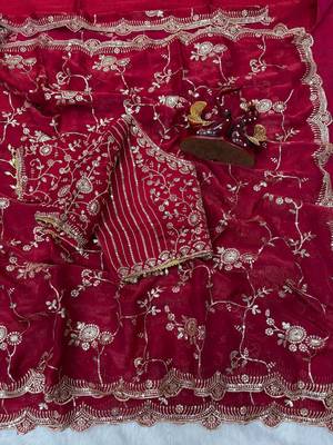 red sequin embroidery in mono banglori chiffon saree 3