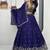 New Womens Latest Festive Wear  with Intricate Elephant Threadwork Lehenga Choli Set